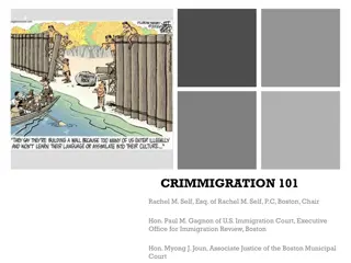 Crimmigration: Key Concepts and Issues