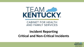 Understanding Critical and Non-Critical Incidents in Incident Reporting