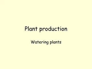 Plant Watering Methods and Techniques