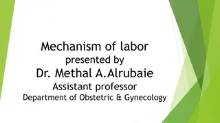 The Mechanism of Labor: Fetal Movements and Delivery Process