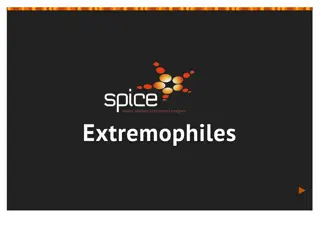 Extreme Environments for Signs of Life Beyond Earth