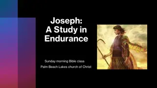 Endurance: Lessons from Biblical Stories to Extraordinary Feats