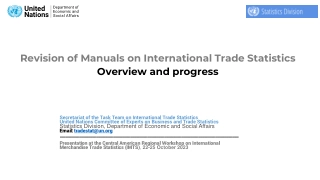 Task Team on International Trade Statistics Progress Overview