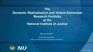 Exploring Domestic Radicalization and Violent Extremism Research at NIJ