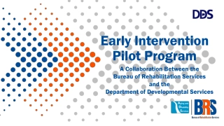 Early Intervention Pilot Program: Empowering Individuals with Disabilities Towards Competitive Employment