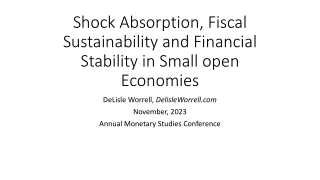 Understanding Shock Absorption and Fiscal Sustainability in Small Open Economies