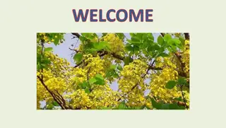 Verb Forms: Lessons and Exercises