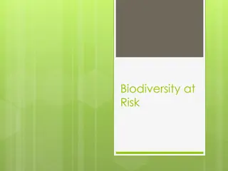 Human Impact on Biodiversity Loss