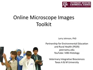 The Importance of Stereology and Technology Integration in Science