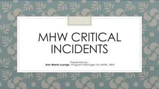 Critical Incidents in MHW Programs