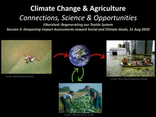 Interplay Between Climate Change, Agriculture, and Textile Systems