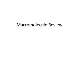 Macromolecules in Biology: Structures, Functions, and Interactions