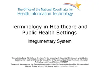The Integumentary System in Healthcare