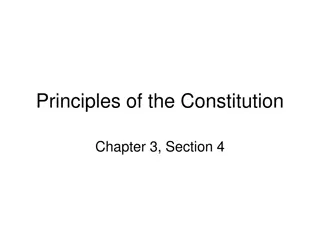 Principles of the Constitution and Government Structure