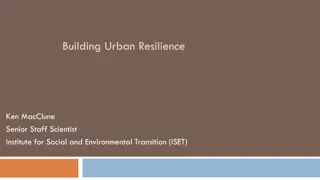 Urban Resilience and Addressing Wicked Problems in Cities