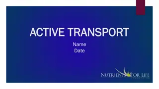 Plant and Soil Interactions Through Active Transport