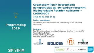 Sustainable Flotation Process with Lignin Collectors for Selective Extraction of Base Metals