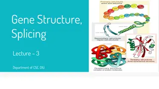 Gene Structure and Splicing in Eukaryotic Cells