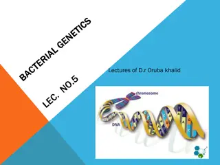 Bacterial Genetics and DNA Structure