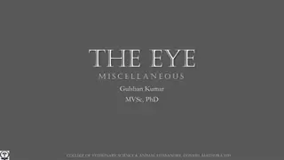 Eye Disorders in Veterinary Science