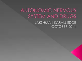 The Autonomic Nervous System and Its Functions