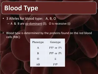 Blood Types: A Comprehensive Overview