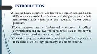Tyrosine Kinase Receptors: Signaling and Functions
