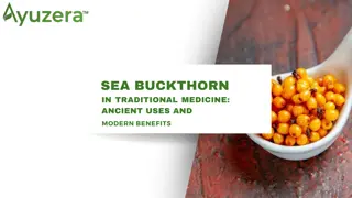 Exploring the Powerful Uses and Benefits of Sea Buckthorn