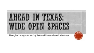 Evolution of AHEAD in Texas: From Inception to Leadership in Higher Education Accessibility