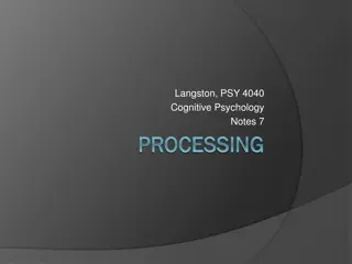 Memory Processing in Cognitive Psychology