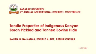 Investigating Tensile Properties of Kenyan Boran Cowhide