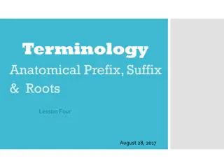 Anatomical Terminology: Prefixes, Suffixes, and Roots