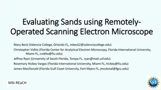 Transforming Geoscience Education with Remote Electron Microscopy