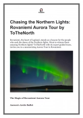 Chasing the Northern Lights: Rovaniemi Aurora Tour by ToTheNorth