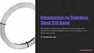 Introduction-to-Stainless-Steel-316-Band