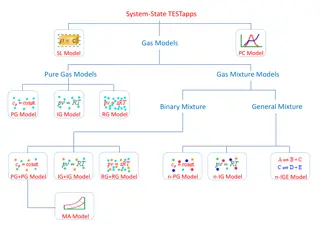 Multi-Flow Fluid Dynamics Models in Gas Systems
