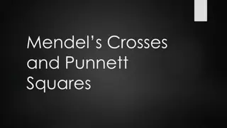 Mendel's Experiments: Crosses and Punnett Squares