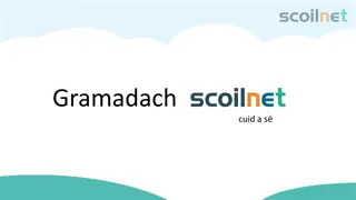 Future Tense in Irish Grammar: Practice and Examples
