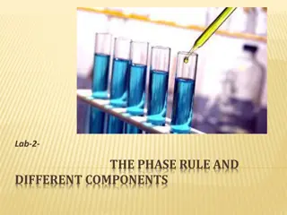 The Phase Rule and Components in Systems