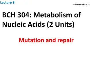 Causes of Mutations and Repair Mechanisms