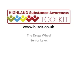 Drug Categories and Effects with The Drugs Wheel Senior Level