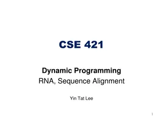 RNA Secondary Structure Through Dynamic Programming