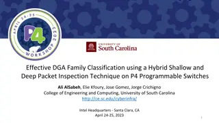 Effective DGA Family Classification Using Hybrid Inspection on P4 Switches