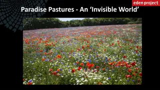 Paradise Pastures: A Journey into an Invisible World
