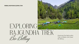 Exploring The RajGundha Trek A Hidden Gem Near Bir Billing
