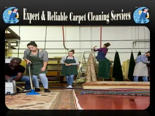 Expert & Reliable Carpet Cleaning Services