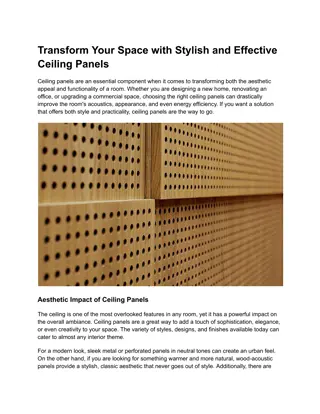 Ceiling Panels