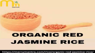 Buy Organic Red Jasmine Rice Online