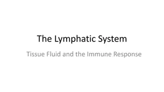 The Lymphatic System and Immune Response
