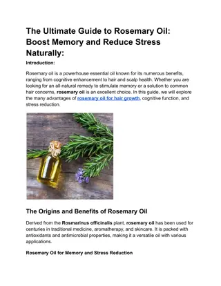 The Ultimate Guide to Rosemary Oil Boost Memory and Reduce Stress Naturally